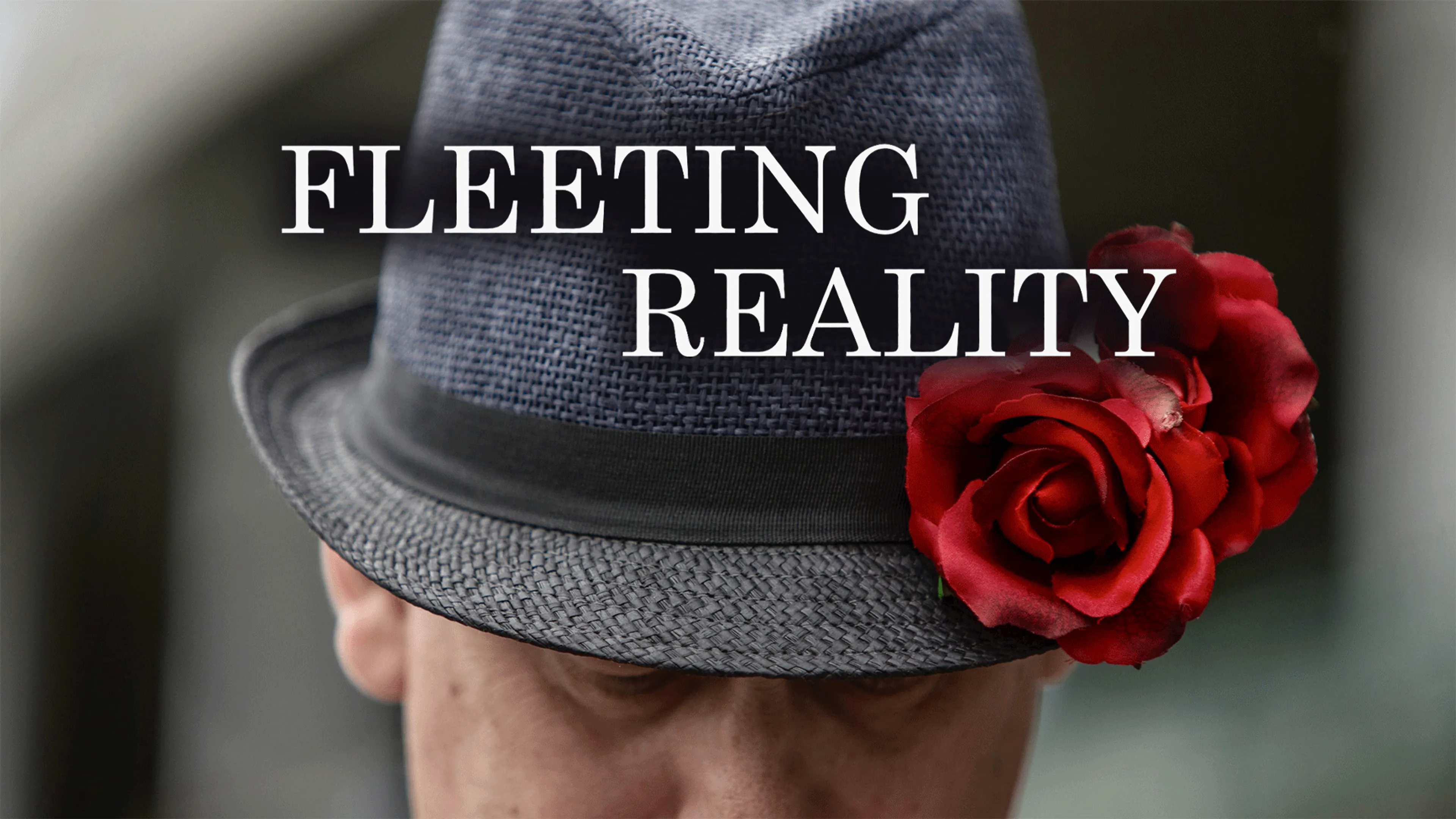 Fleeting Reality poster